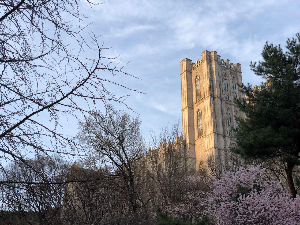 Take a walk on Kyung Hee campus with European architecture and cherry blossoms